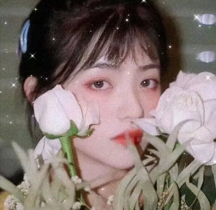 瓢虫少女第一季